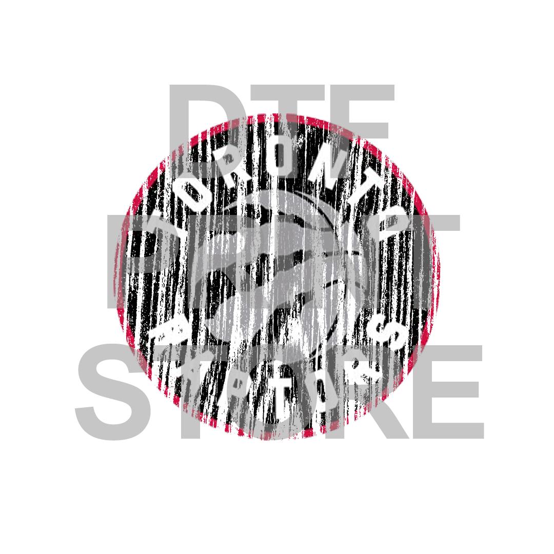 Raptors - DTF or SUBLIMATION Print 12" x 16" freeshipping - DTF Print Store