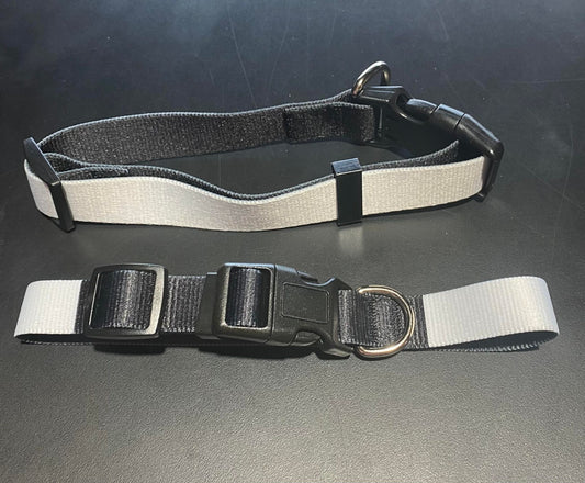 Dog Collars