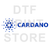 Cardano DTF or SUBLIMATION Print 12" x 16" freeshipping - DTF Print Store