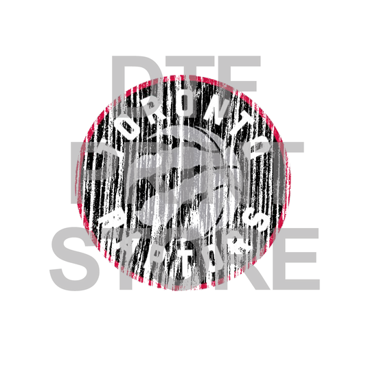 Raptors - DTF or SUBLIMATION Print 12" x 16" freeshipping - DTF Print Store